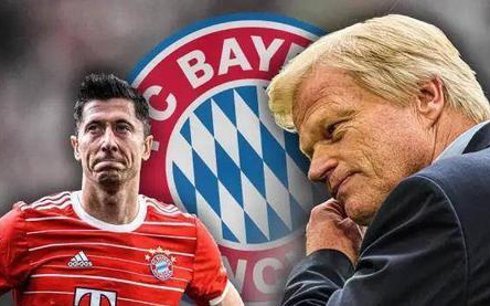 他职业生涯 他职业生涯